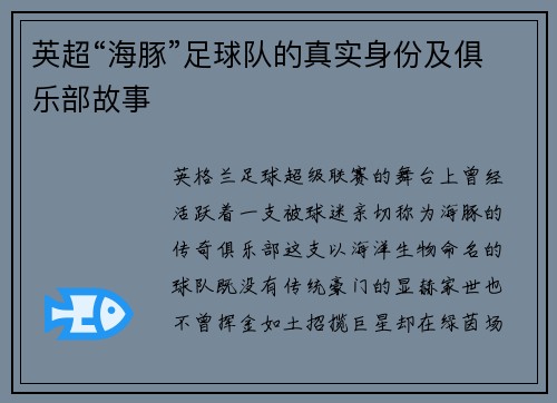 英超“海豚”足球队的真实身份及俱乐部故事