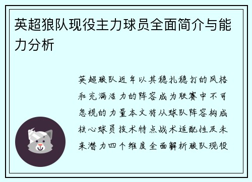 英超狼队现役主力球员全面简介与能力分析
